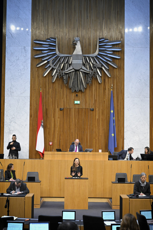 Am Rednerpult: Nationalratsabgeordnete Susanne Fürst (FPÖ)