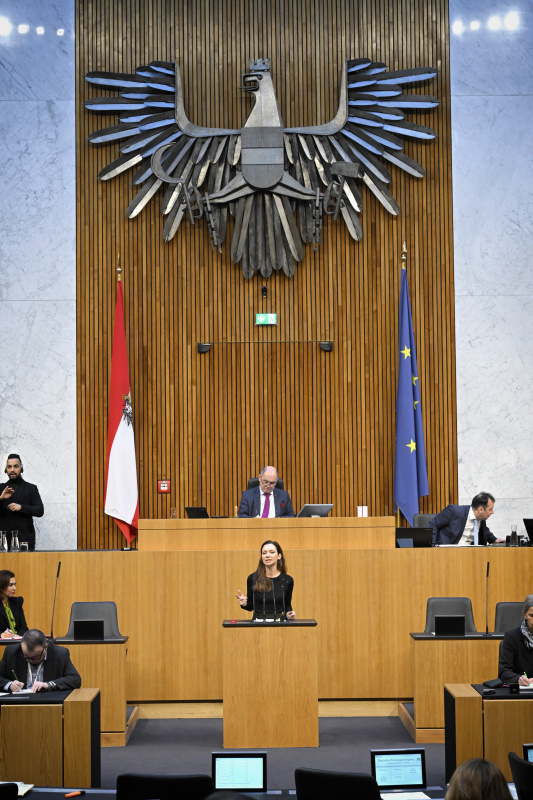 Am Rednerpult: Nationalratsabgeordnete Susanne Fürst (FPÖ)