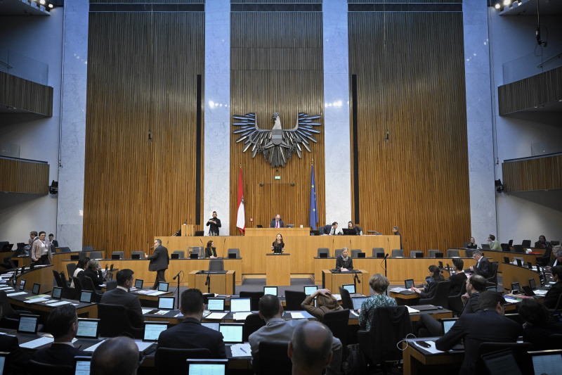 Am Rednerpult: Nationalratsabgeordnete Susanne Fürst (FPÖ). Blick Richtung Sitzungsteilnehmer:innen