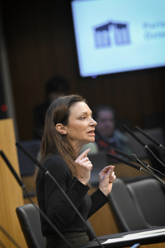 Am Rednerpult: Nationalratsabgeordnete Susanne Fürst (FPÖ)