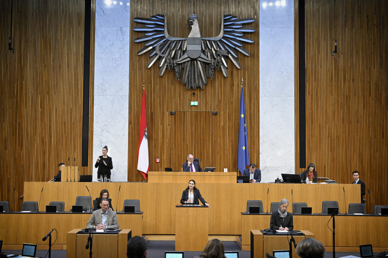 Am Rednerpult: Nationalratsabgeordnete Barbara Neßler (GRÜNE)