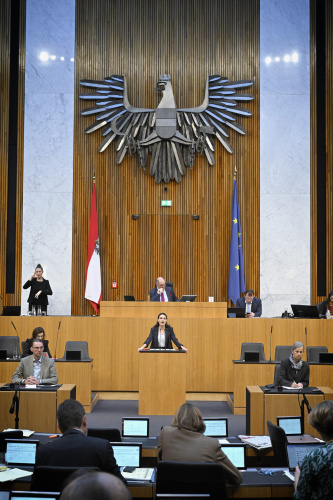 Am Rednerpult: Nationalratsabgeordnete Barbara Neßler (GRÜNE). Blick Richtung Sitzungsteilnehmer:innen