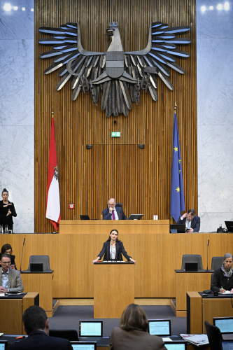 Am Rednerpult: Nationalratsabgeordnete Barbara Neßler (GRÜNE)