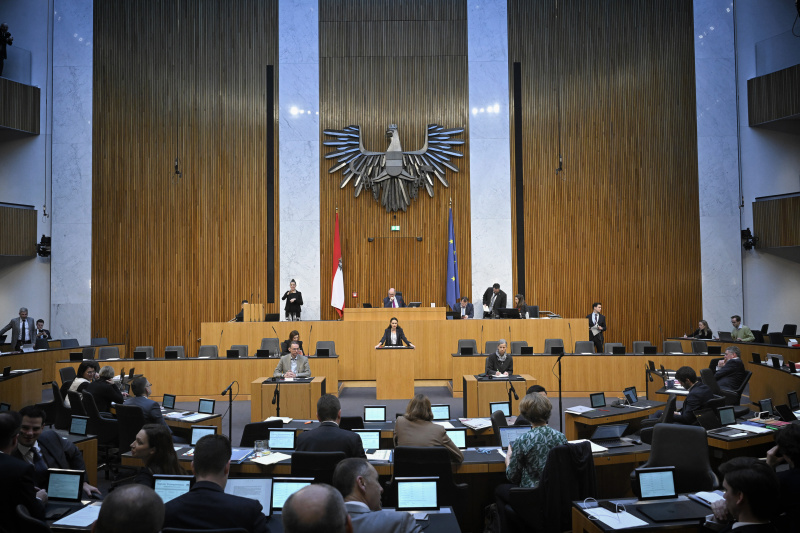 Am Rednerpult: Nationalratsabgeordnete Barbara Neßler (GRÜNE). Blick Richtung Sitzungsteilnehmer:innen