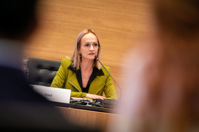 Expertin Barbara Haid am Wort