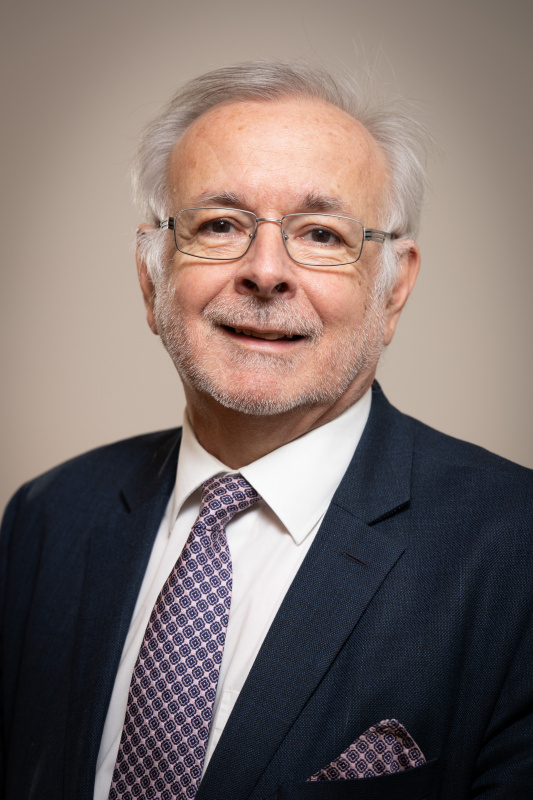 Oliver Rathkolb, Professor für Neuere Geschichte an der Universität Wien