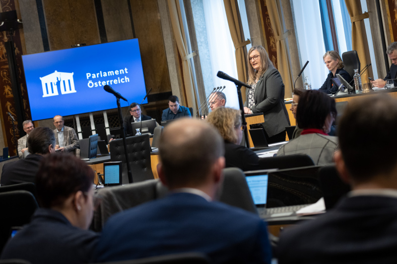 Bundesrätin Claudia Hauschildt-Buschberger (GRÜNE) am Redner:innenpult