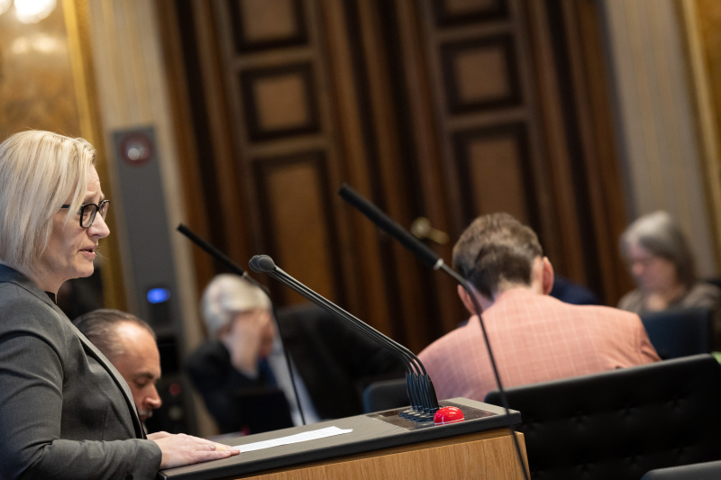 Bundesrätin Sandra Gerdenitsch (SPÖ) am Redner:innenpult