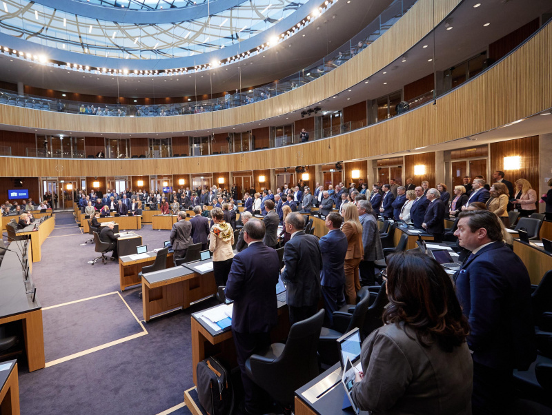 Abstimmung im Plenum