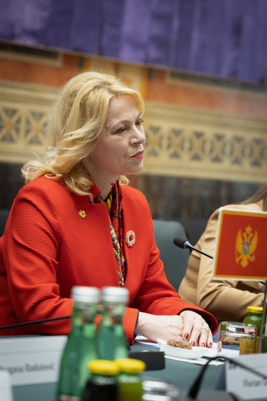 Parlamentspräsidentin von Montenegro Danijela Đurović