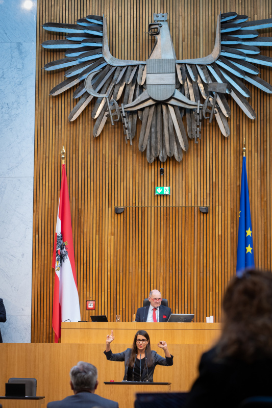 Nationalratsabgeordnete Meri Disoski (GRÜNE) am Redner:innenpult, Nationalratspräsident Wolfgang Sobotka (ÖVP) am Präsidium