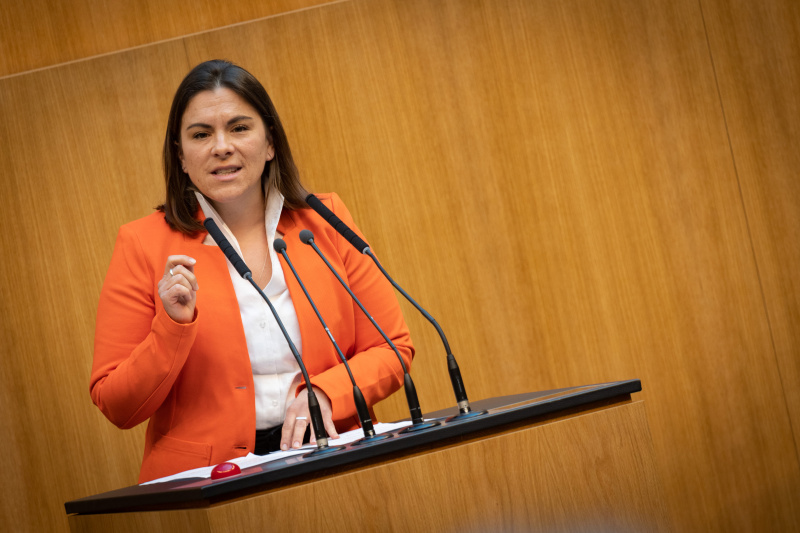 Nationalratsabgeordnete Julia Seidl (NEOS) am Redner:innenpult