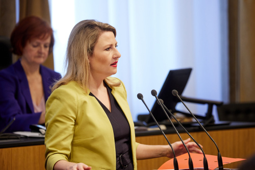 Fragestunde an Integrationsministerin Susanne Raab (ÖVP)