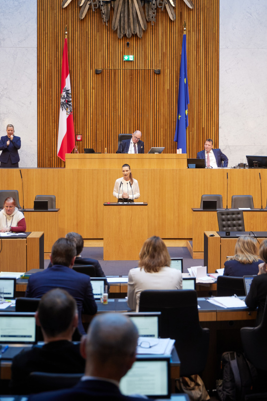 Am Rednerpult Nationalratsabgeordnete Susanne Fürst (FPÖ)