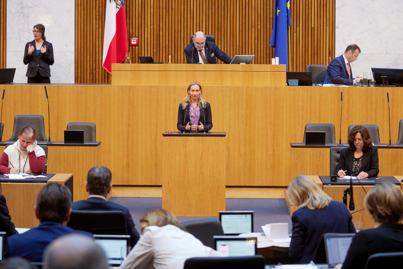 Am Rednerpult Nationalratsabgeordnete Agnes Sirkka Prammer (GRÜNE)
