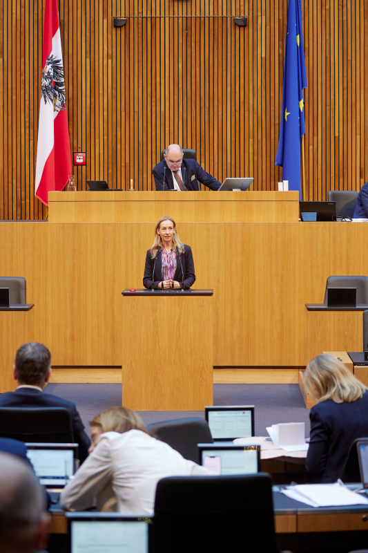 Am Rednerpult Nationalratsabgeordnete Agnes Sirkka Prammer (GRÜNE)
