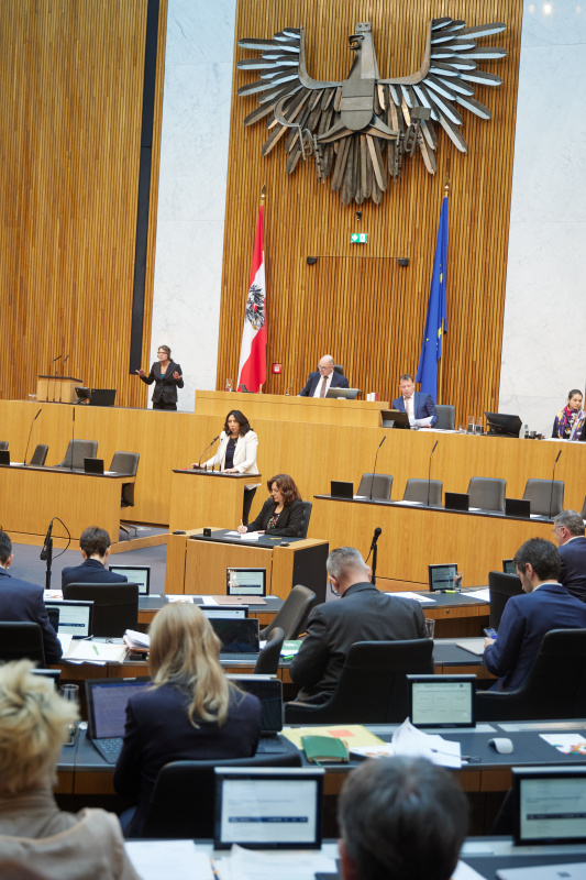 Am Rednerpult Nationalratsabgeordnete Selma Yildirim (SPÖ)