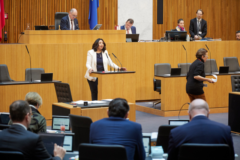 Am Rednerpult Nationalratsabgeordnete Selma Yildirim (SPÖ)
