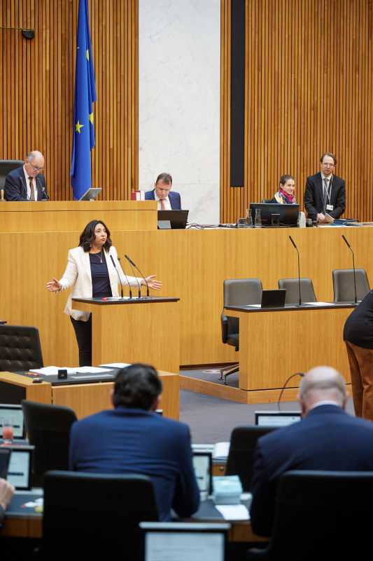 Am Rednerpult Nationalratsabgeordnete Selma Yildirim (SPÖ)