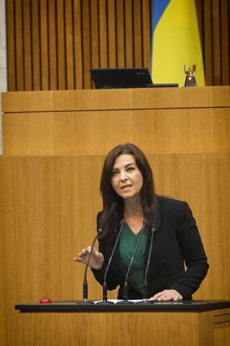 Nationalratsabgeordnete Ewa Ernst-Dziedzic (GRÜNE) am Rednerpult