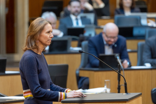 Am Rednerpult: Fragestellung Nationalratsabgeordnete Maria Theresia Niss (ÖVP)
