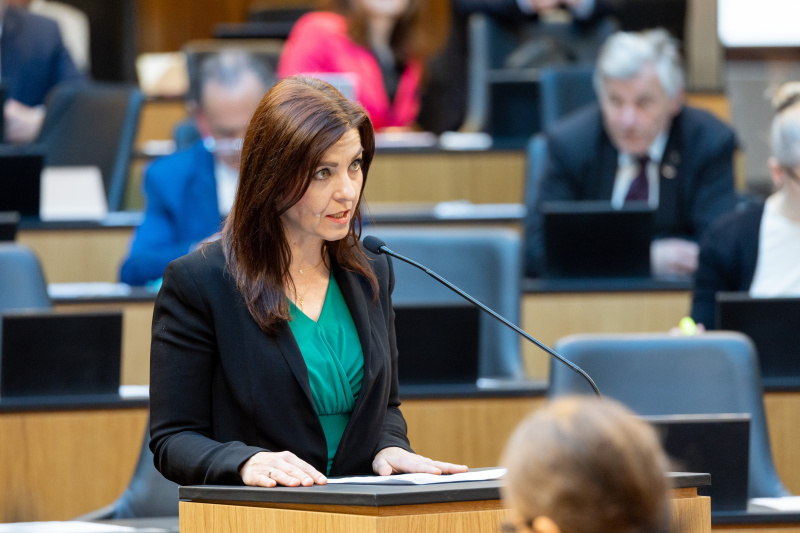 Am Rednerpult: Fragestellung Nationalratsabgeordnete Ewa Ernst-Dziedzic (GRÜNE)