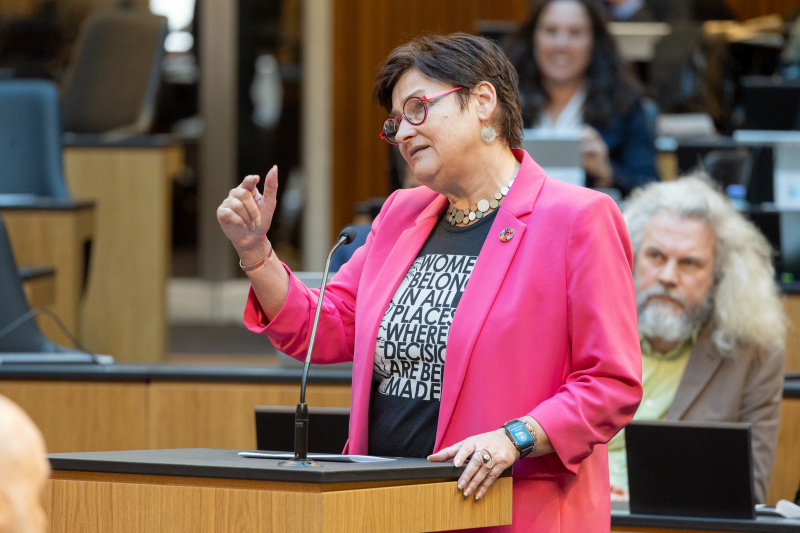 Am Rednerpult: Fragestellung Nationalratsabgeordnete Petra Bayr (SPÖ)