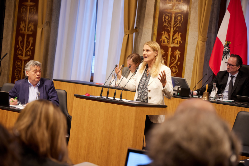 Am Rednerpult Bundesrätin Elisabeth Grossmannn (SPÖ)