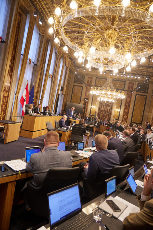Am Rednerpult Vorsitzender der Bundesratsfraktion Christoph Steiner (FPÖ)