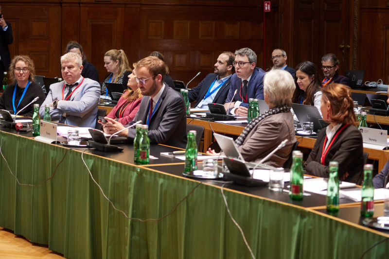 Q&A session and statements by the parliamentary delegations' members of the EISC