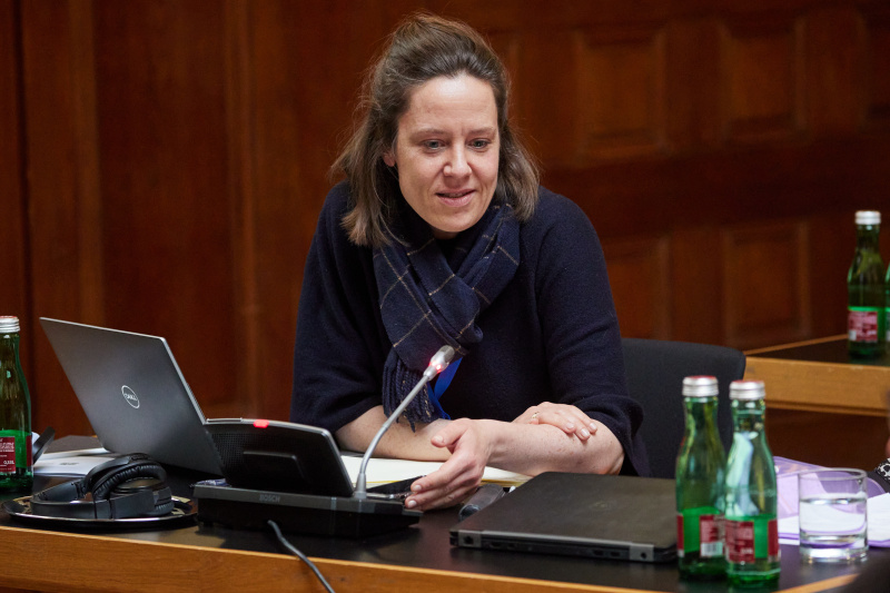 Q&A session and statements by the parliamentary delegations' members of the EISC