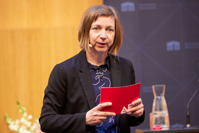 Moderation Katharina Schell APA