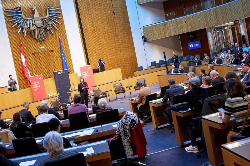 Moderation Katharina Schell APA