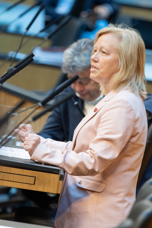 Nationalratsabgeordnete Verena Nussbaum (SPÖ) am Rednerpult