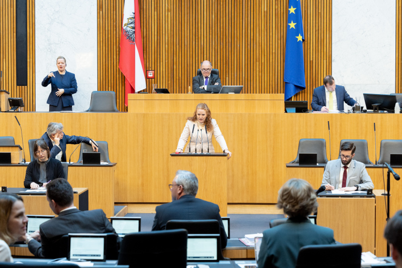 Nationalratsabgeordnete Fiona Fiedler (NEOS) am Rednerpult