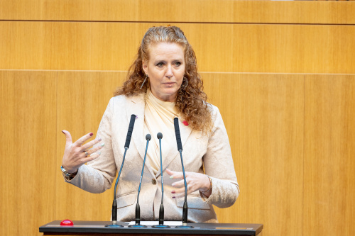 Nationalratsabgeordnete Fiona Fiedler (NEOS) am Rednerpult