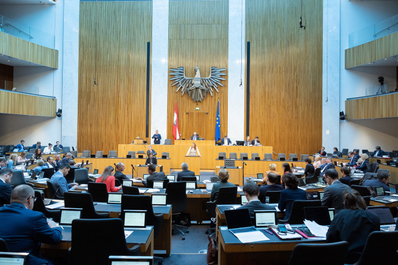 Nationalratsabgeordnete Fiona Fiedler (NEOS) am Rednerpult