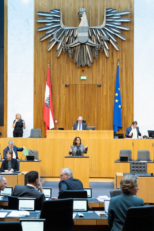 Nationalratsabgeordnete Elisabeth Scheucher-Pichler (ÖVP) am Rednerpult