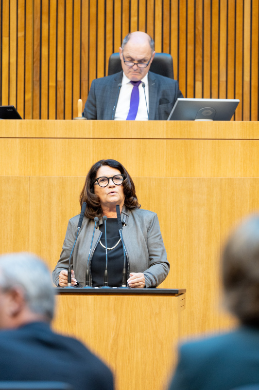 Nationalratsabgeordnete Elisabeth Scheucher-Pichler (ÖVP) am Rednerpult