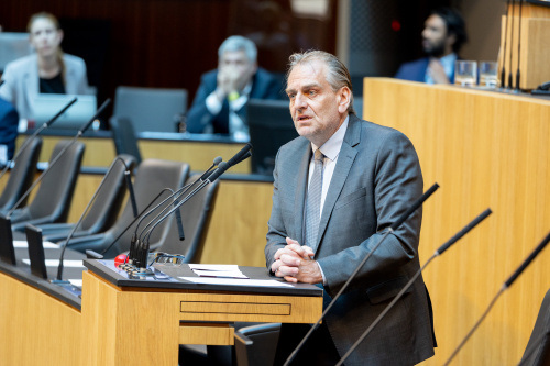 Nationalratsabgeordneter Andreas Kollross (SPÖ) am Rednerpult
