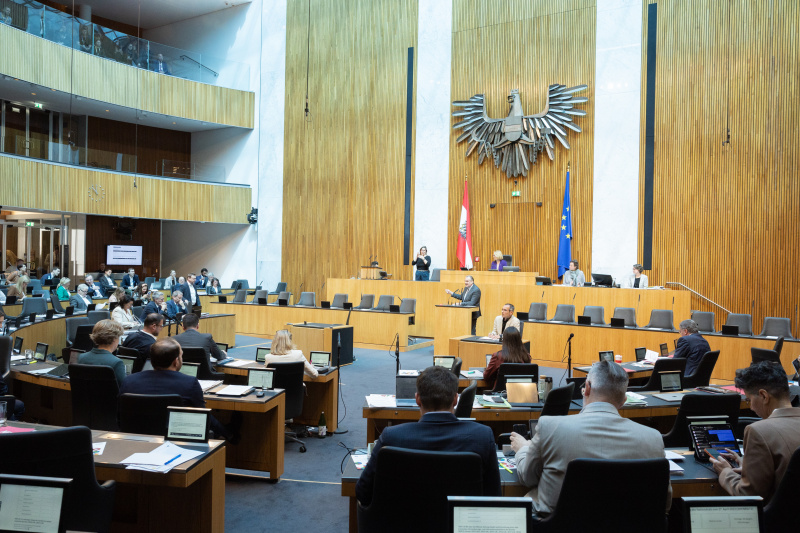 Nationalratsabgeordneter Andreas Kollross (SPÖ) am Rednerpult