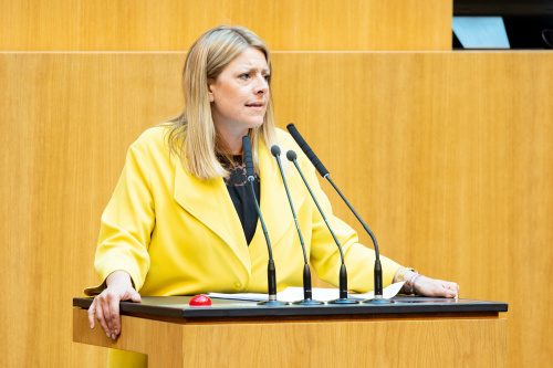 Nationalratsabgeordnete Katharina Kucharowits (SPÖ) am Rednerpult