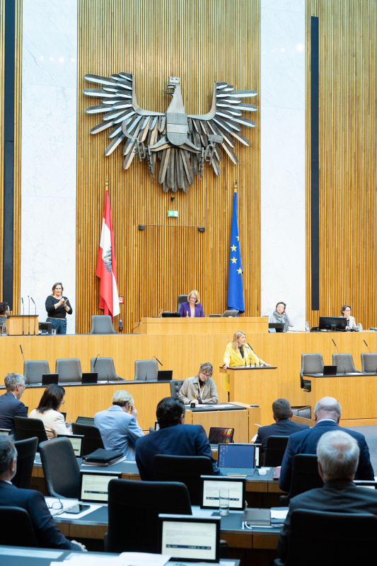 Nationalratsabgeordnete Katharina Kucharowits (SPÖ) am Rednerpult