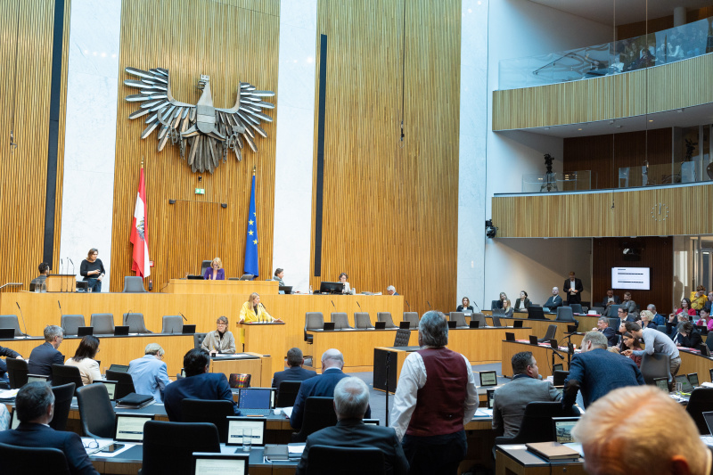 Nationalratsabgeordnete Katharina Kucharowits (SPÖ) am Rednerpult