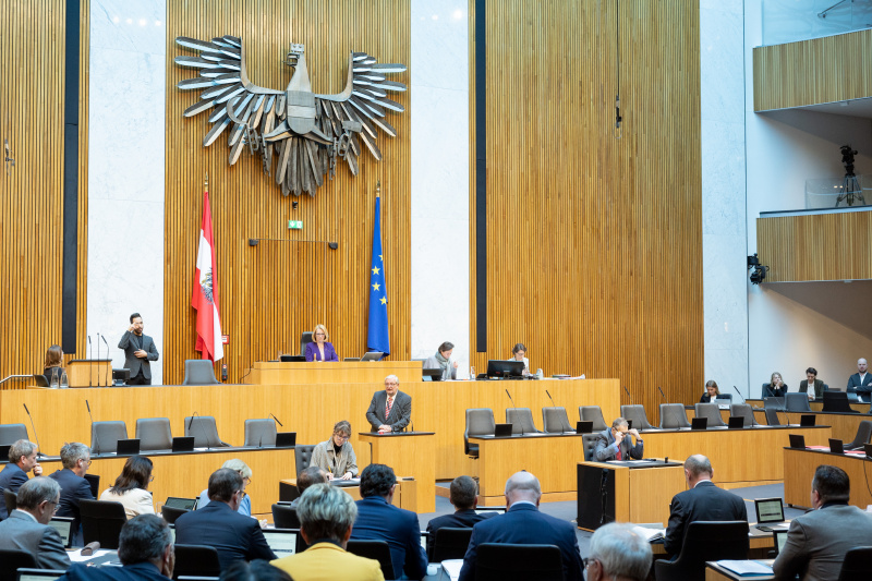 Nationalratsabgeordneter Christoph Matznetter (SPÖ) am Rednerpult