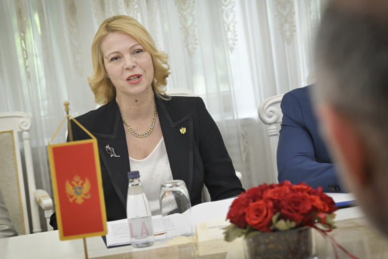 Aussprache. Präsidentin des Parlaments von Montenegro Danijela Đurović