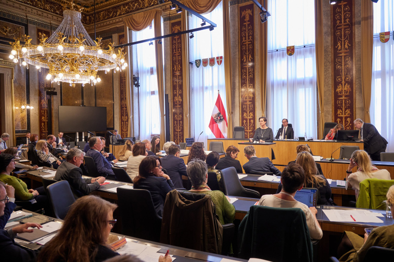 Statement von Petra Schmidt Österreichisches Rotes Kreuz