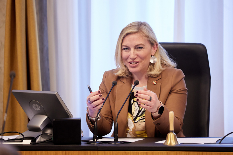 Bundesratsvizepräsidentin Doris Hahn (SPÖ) am Präsidium