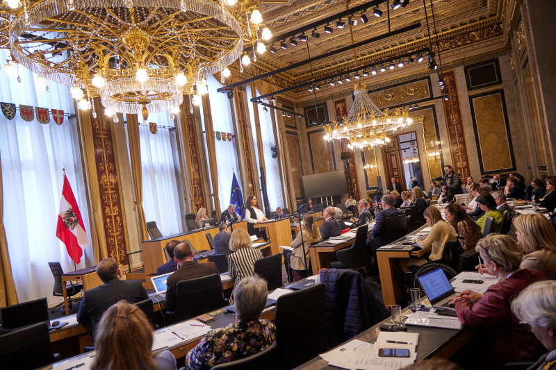 Referat von Sabine Pürer Pflege Austria 24