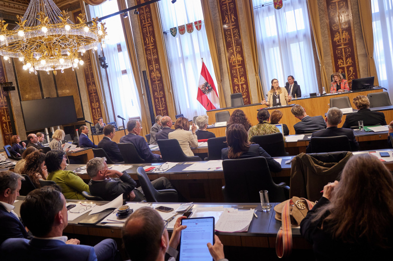 Referat von 2. Vizepräsidentin Österreichischer Gesundheits- und Krankenpflegeverband Tamara Archan